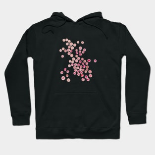 Porphyridium cruentum Hoodie